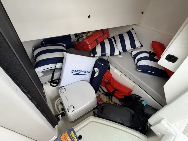 Slide: The Image of Sea Ray 250 Outboard 2023 - 6514516