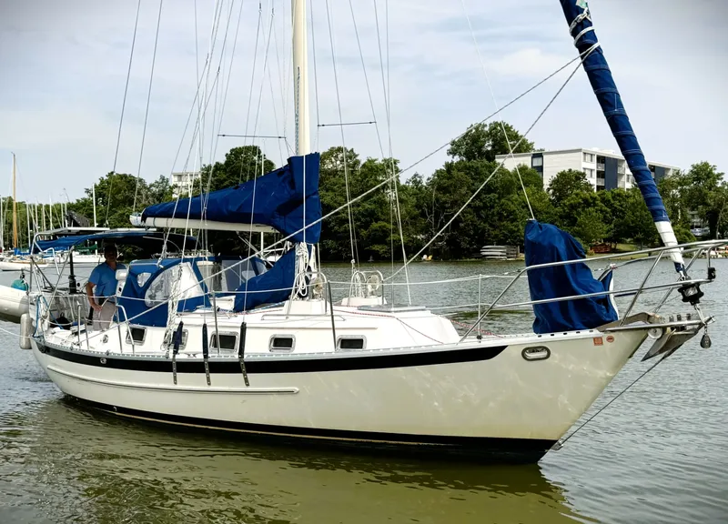 The Image of Pacific Seacraft 31 2008 - 6518277