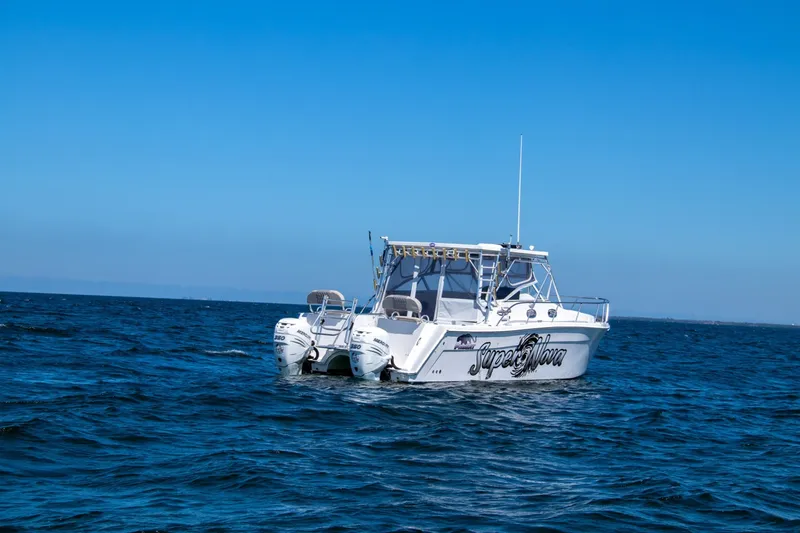 Slide: The Image of Sumerset Houseboat 1993 - 6518357