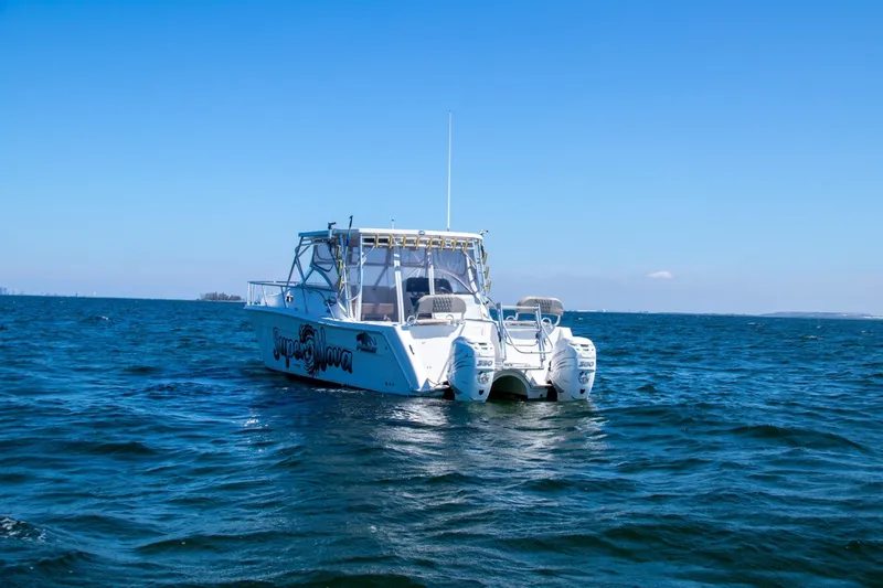 Slide: The Image of Sumerset Houseboat 1993 - 6518355