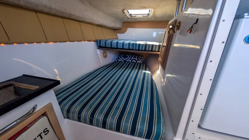 Slide: The Image of Sumerset Houseboat 1993 - 6518386