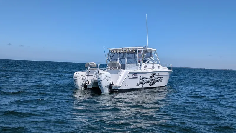 Slide: The Image of Sumerset Houseboat 1993 - 6518372