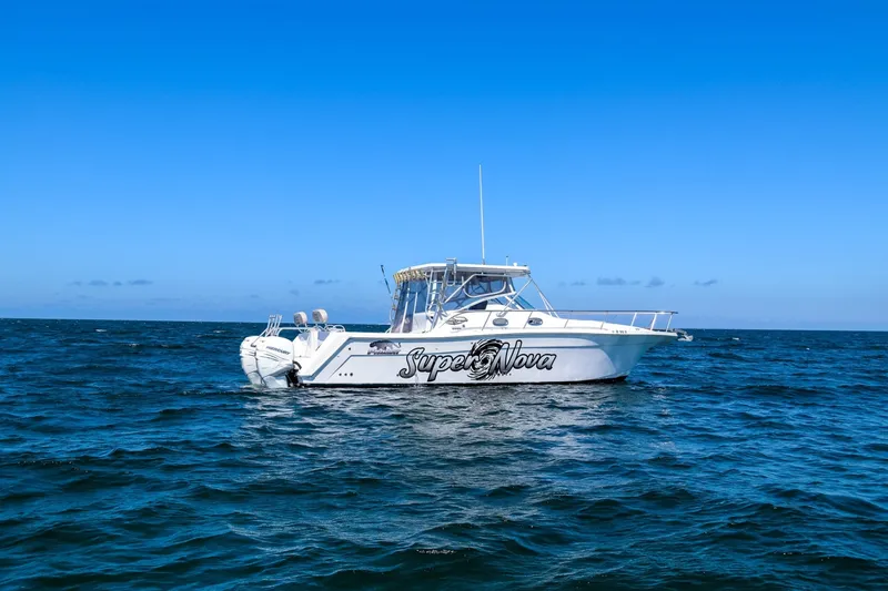 Slide: The Image of Sumerset Houseboat 1993 - 6518358