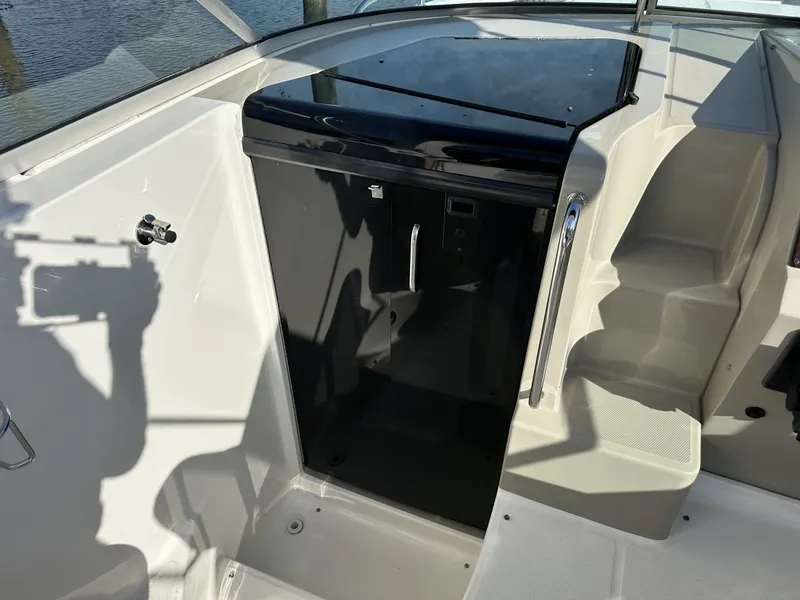 Slide: The Image of Sea Ray 260 Sundancer 2010 - 6847087