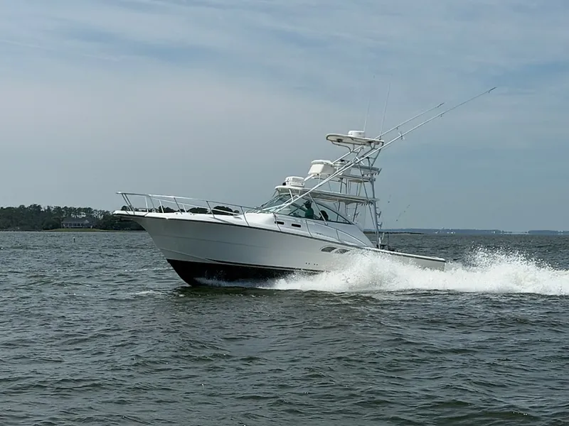The Image of Rampage 38 Express 2006 - 6535715