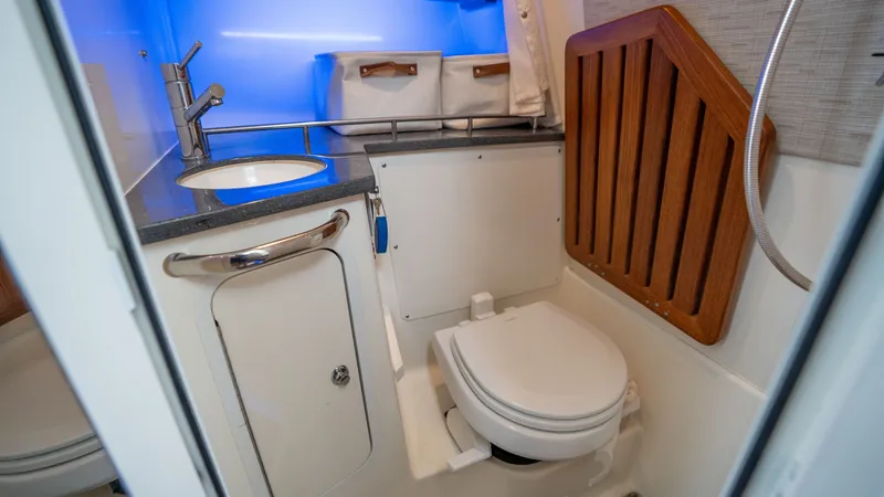 Slide: The Image of Boston Whaler 350 Realm 2019 - 6546674