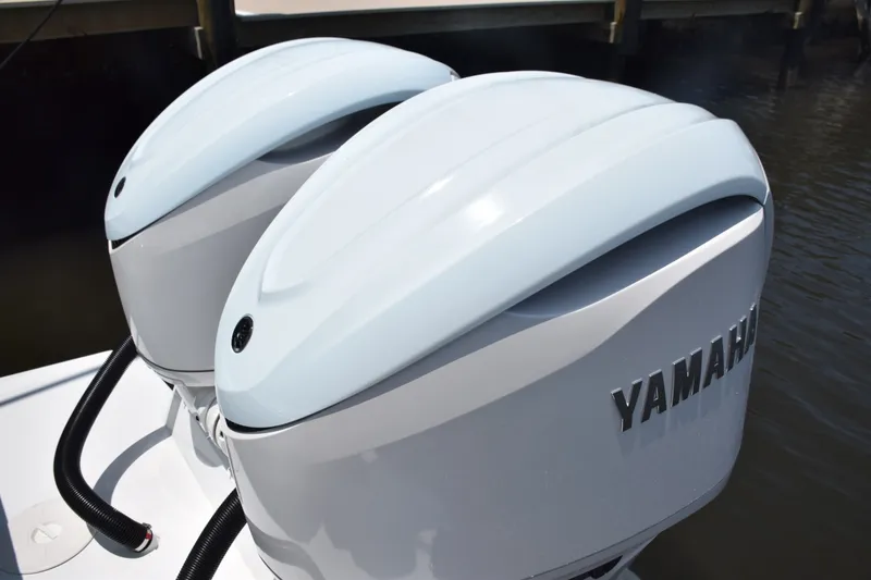 Slide: The Image of Custom Painted Cowlings - 6551316