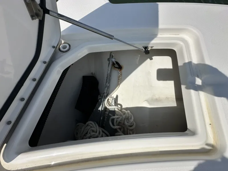 Slide: The Image of World Cat 280 CCX 2020 - 6552256