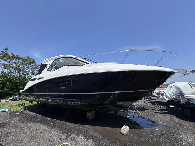 The Image of Sea Ray 35 2019 - 6563480