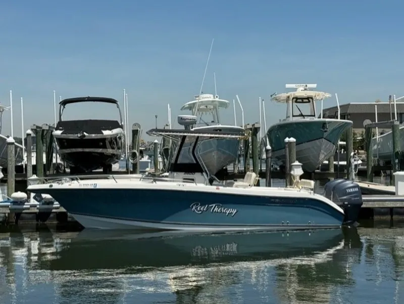 The Image of Century 2600 Center Console 2009 - 6565276