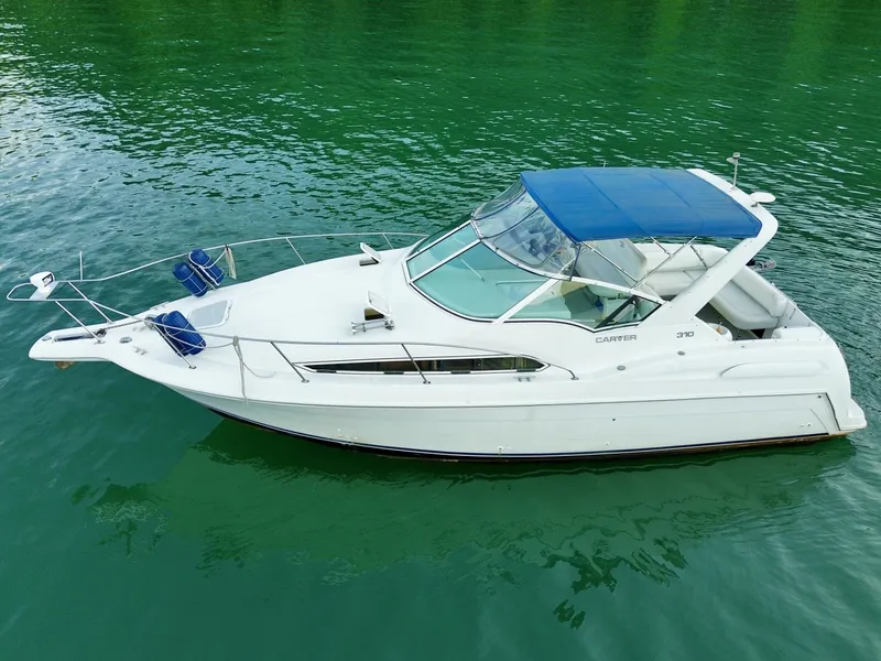The Image of Carver Yachts 310 Mid Cabin Express 1996 - 6613991