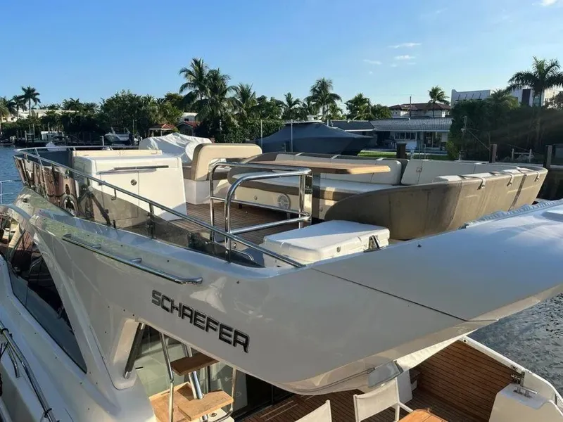 Slide: The Image of Schaefer 51 2019 - 6751860