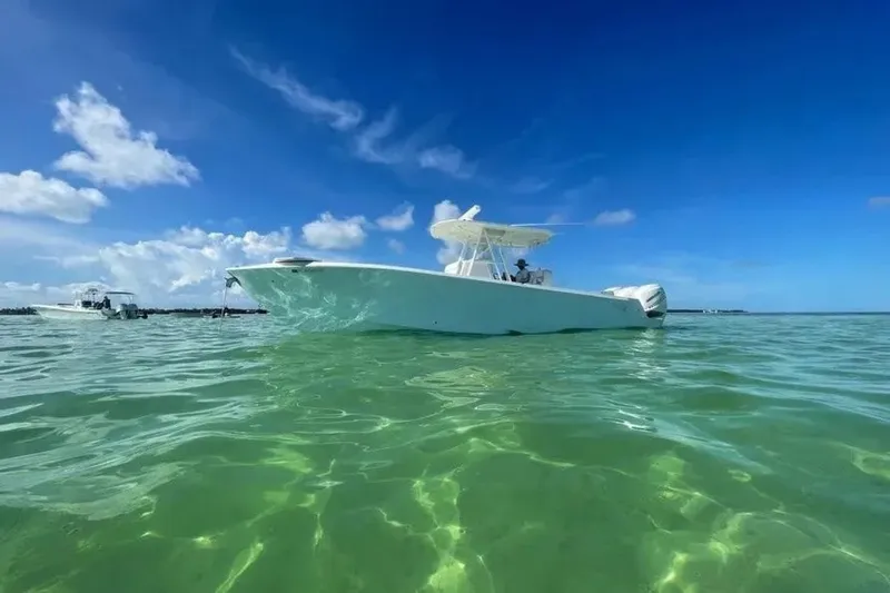 Slide: The Image of SeaVee 34 2018 - 6751909