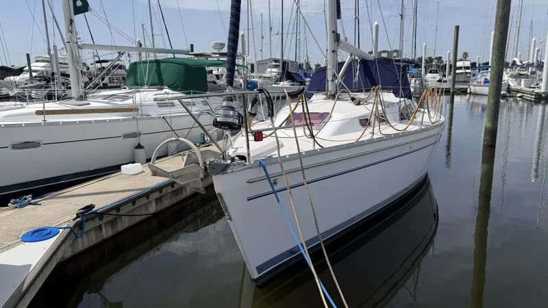 Slide: The Image of Catalina 385 2013 - 6854905