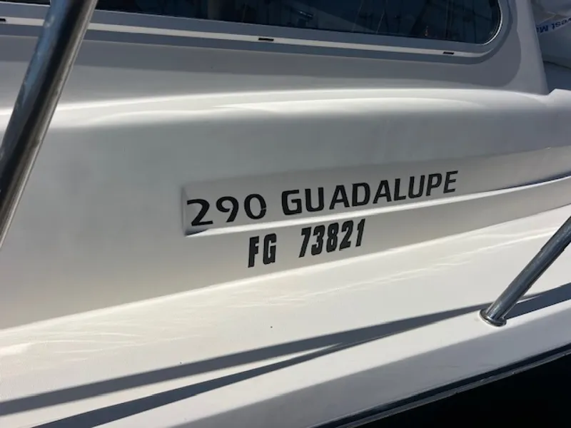 Slide: The Image of Defiance GUADALUPE 290 EX 2022 - 6769641