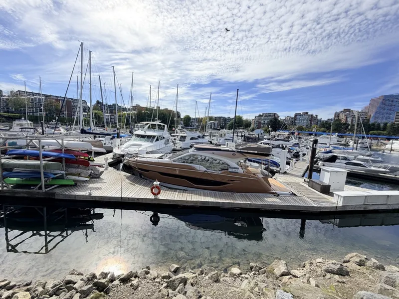 Slide: The Image of Sessa F47 2025 - 7962399