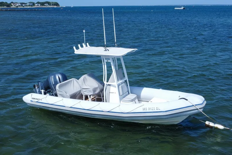 Slide: The Image of Ribcraft 22 2019 - 6786460