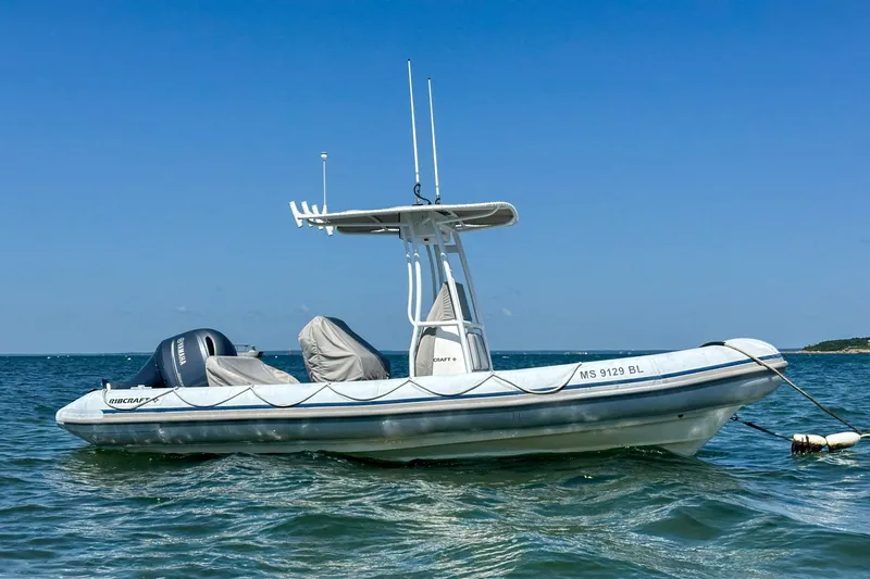 The Image of Ribcraft 22 2019 - 6786463