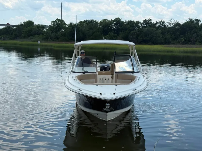 Slide: The Image of Scout 255 Dorado 2018 - 6787515