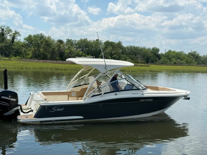 The Image of Scout 255 Dorado 2018 - 6787510