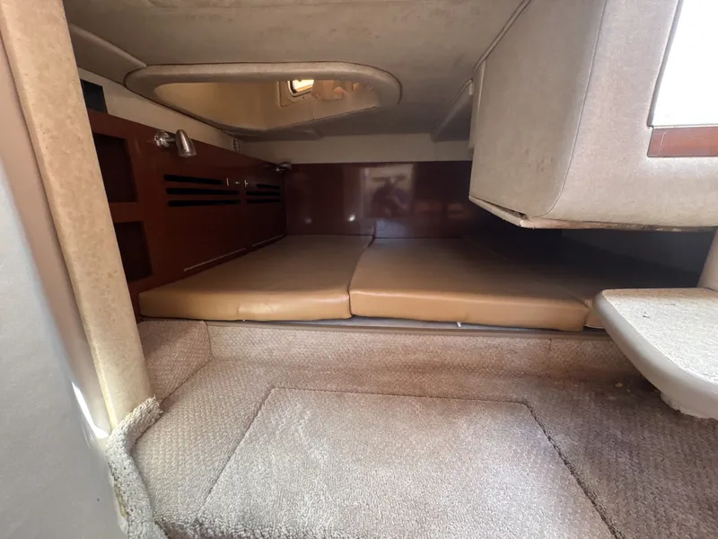 Slide: The Image of Sea Ray 270 Sundancer 2009 - 6789209