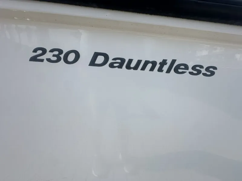Slide: The Image of Boston Whaler 230 Dauntless 2012 - 6821571