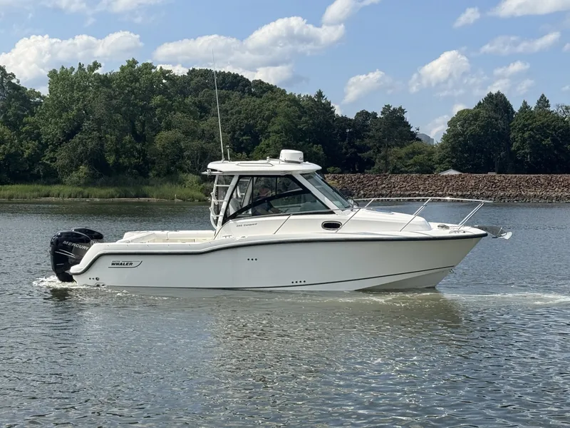 The Image of Boston Whaler Conquest 2013 - 7087398