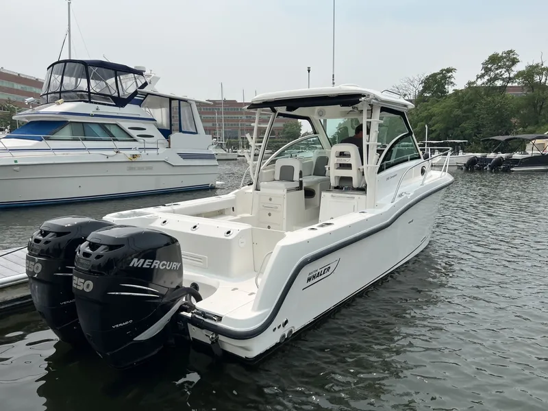 Slide: The Image of Boston Whaler Conquest 2013 - 6839553