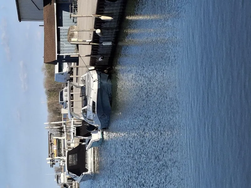 Slide: The Image of NX Boats 290 Exclusive Edition 2026 - 6848841
