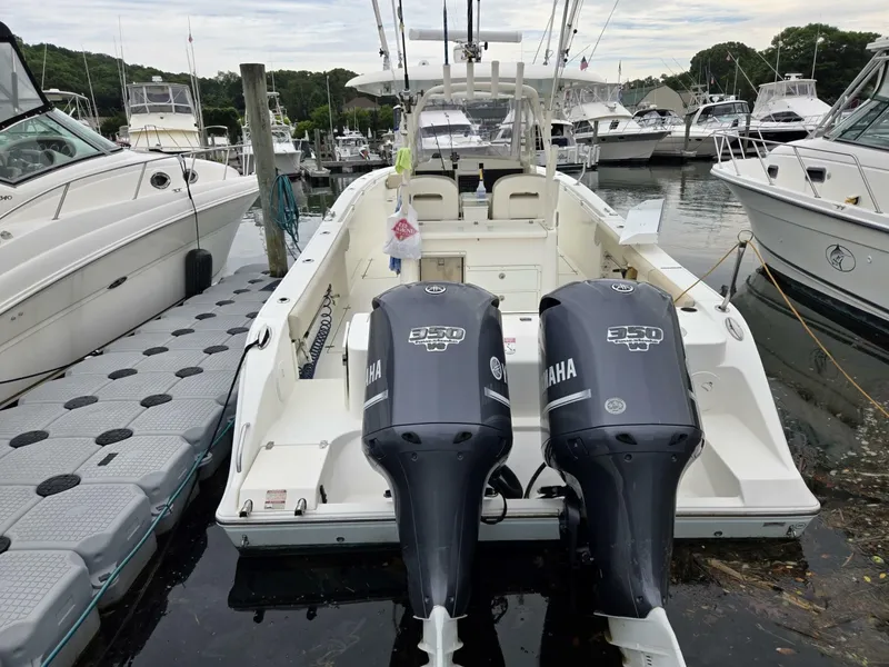 Slide: The Image of Cobia 350 CC 2014 - 6896130