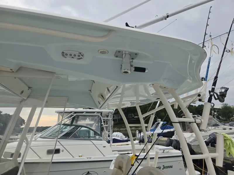 Slide: The Image of Cobia 350 CC 2014 - 6896166