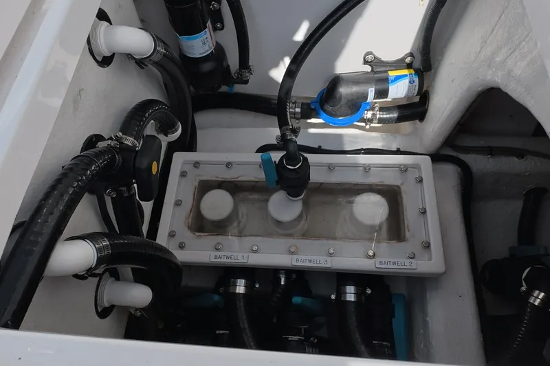 Slide: The Image of Invincible 33 Catamaran 2023 - 7229378