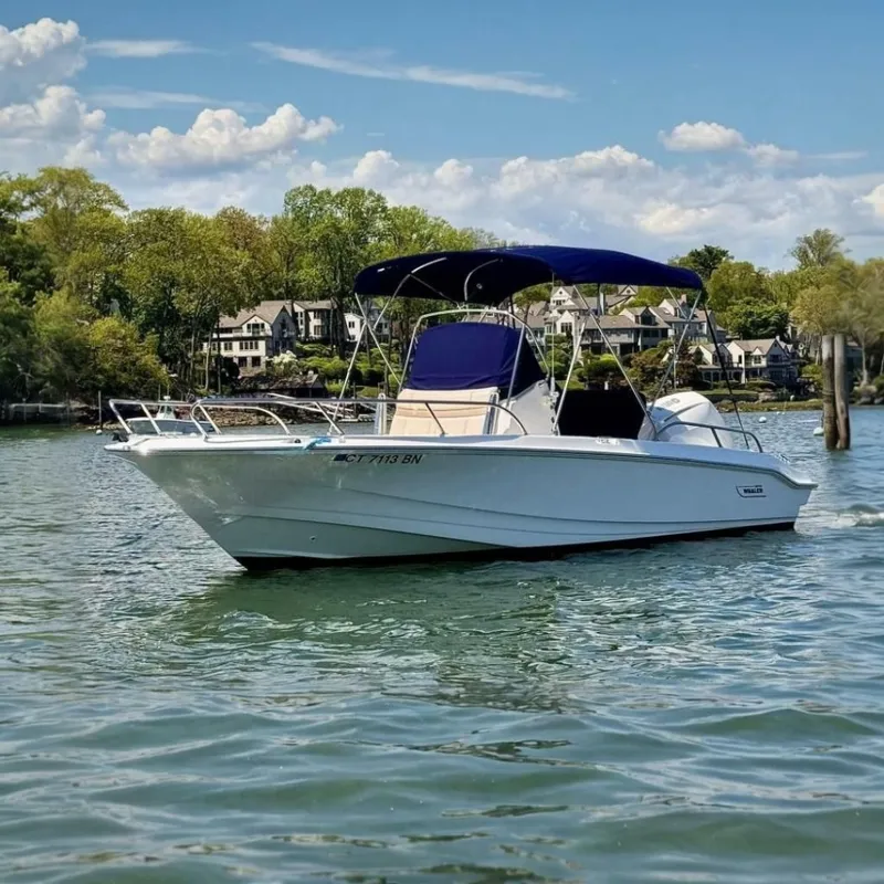 The Image of Boston Whaler 220 Dauntless 2022 - 7229797