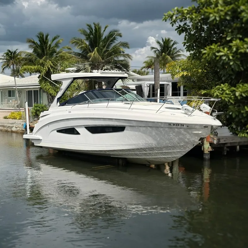 The Image of Regal 33 XO 2022 - 7534147