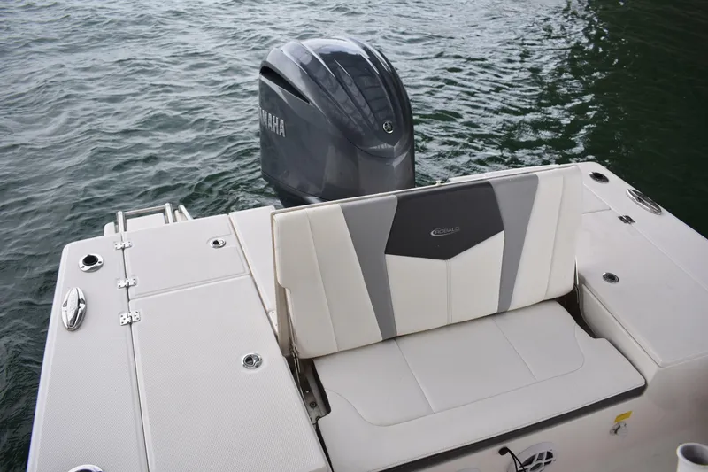 Slide: The Image of Robalo 246 Cayman 2022 - 7387862