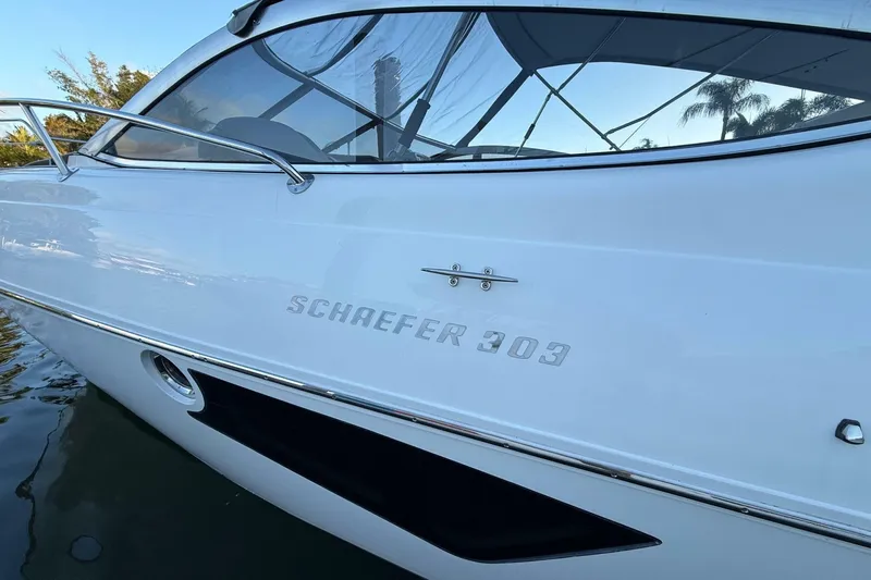 Slide: The Image of Schaefer 303 2021 - 6944147