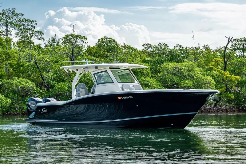The Image of Scout 330 LXF 2021 - 7231045