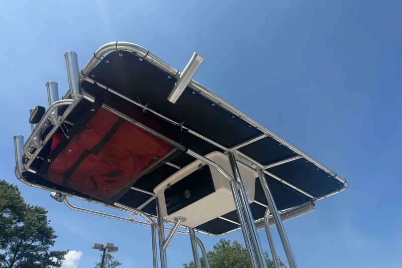 Slide: The Image of Carolina 218 DLV 2019 - 6895129