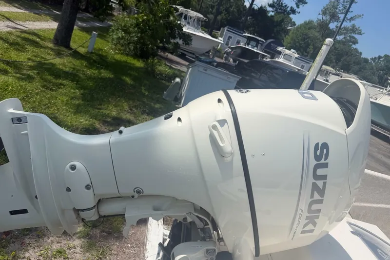 Slide: The Image of Carolina 218 DLV 2019 - 6895132