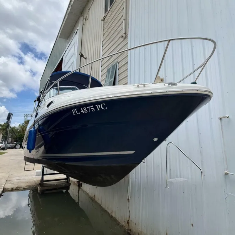 The Image of Sea Ray 240 Sundancer 2010 - 7236437