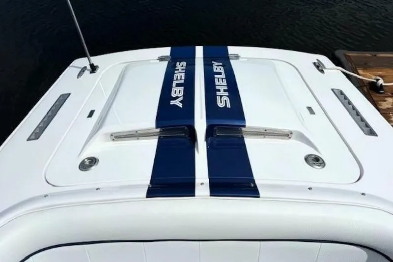 Slide: The Image of Donzi 22 Shelby GT 2007 - 6900852