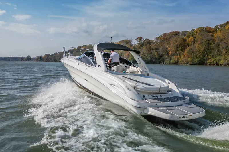 Slide: The Image of Sea Ray 290 Sun Sport 2007 - 6950762