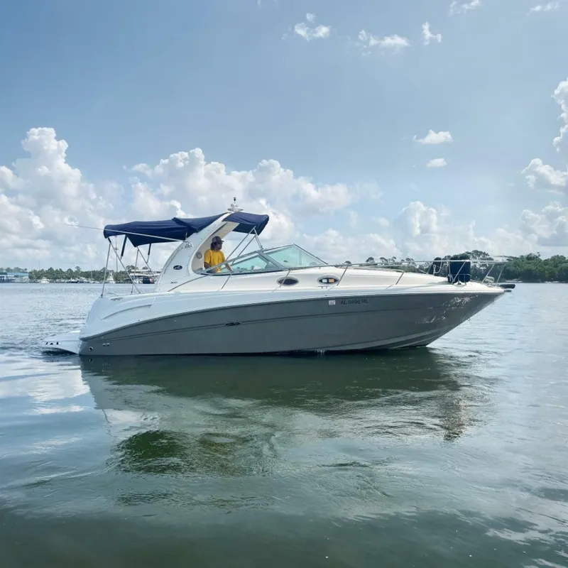 The Image of Sea Ray 300 Sundancer 2006 - 7238921