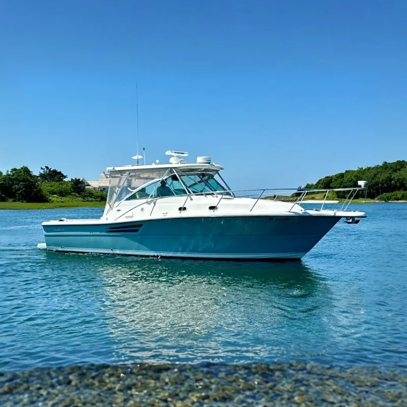 The Image of Pursuit 3400 Express 2003 - 7393378