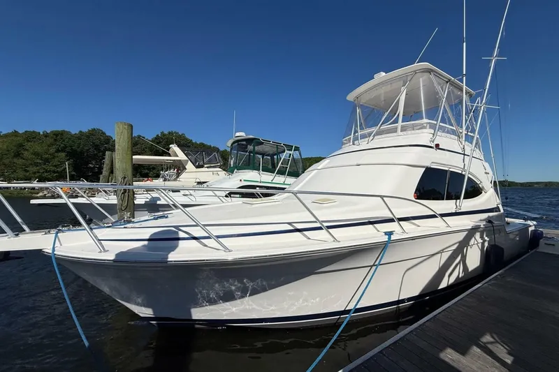 The Image of Bertram 390 Convertible 2002 - 7393712