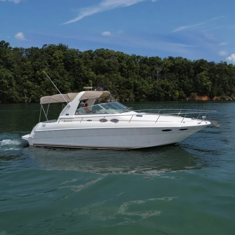 The Image of Sea Ray Sundancer 310 2001 - 7394208