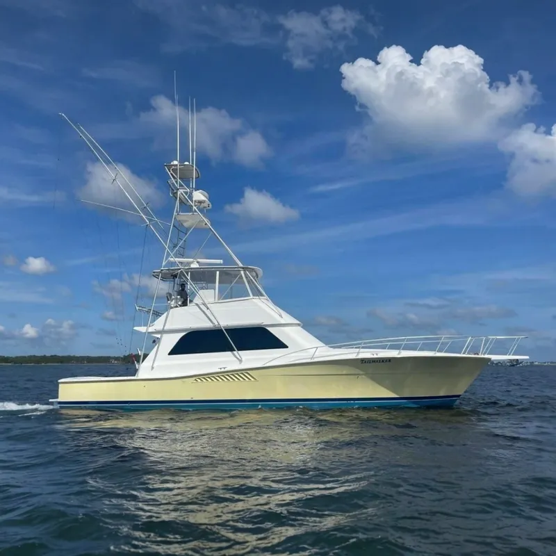 The Image of Viking 50 Convertible 1998 - 7539217