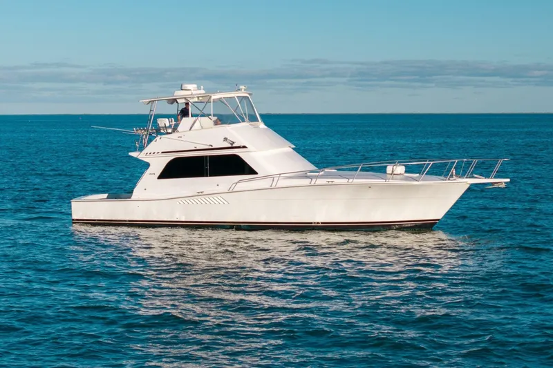 The Image of Viking 50 Convertible 1998 - 7243723