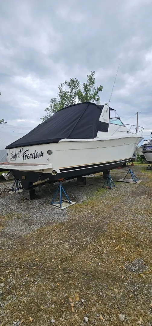 Slide: The Image of Sea Ray 330 Express 1997 - 7244120