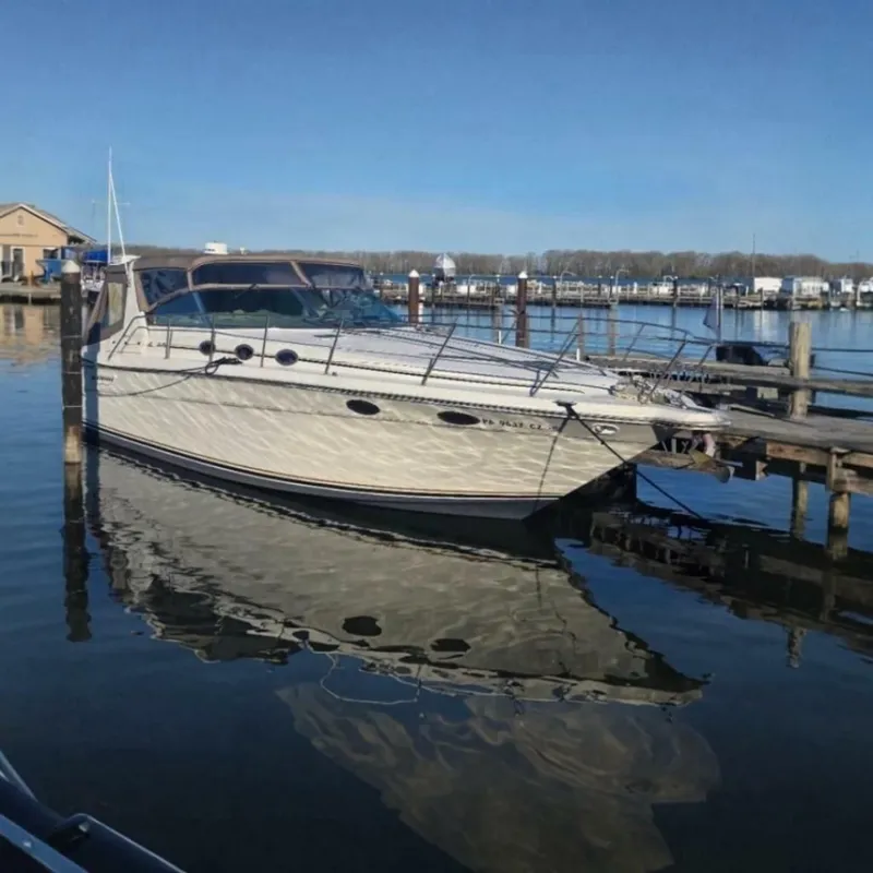 The Image of Sea Ray 370 Express Cruiser 1994 - 6958323
